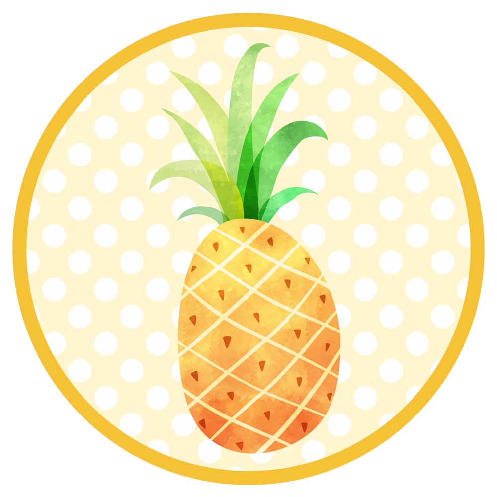 Sweet Pineapple Sticker Labels by Adore By Nat 