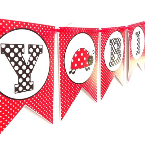 Ladybug Birthday Banner Party Decoration