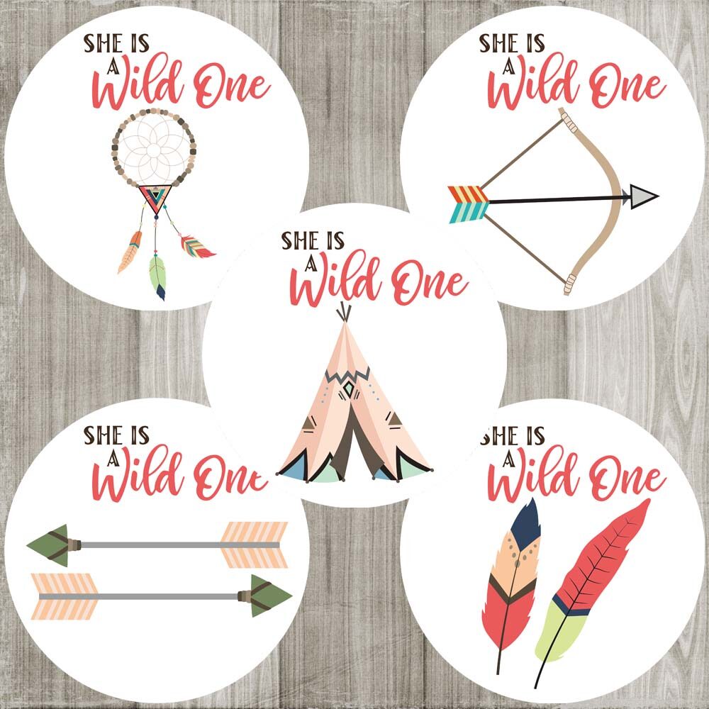 She is a Wild One Stickers