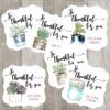 Succulent Thank You Stickers - So Thankful For You Favors Sticker Labels