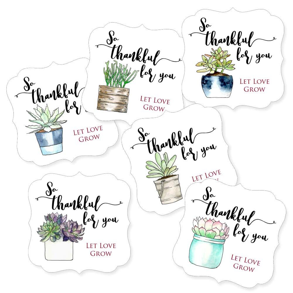 Succulent Wedding Stickers Bridal Shower Labels Hotel Welcome Bag 301-316-WH-BLUSH 24 ct Let Love Grow