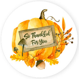 Thanksgiving So Thankful For You Stickers