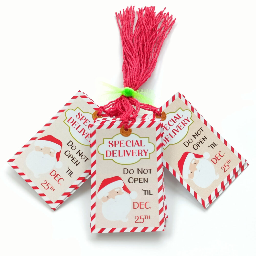 Santa Special Delivery Christmas Gift Tags