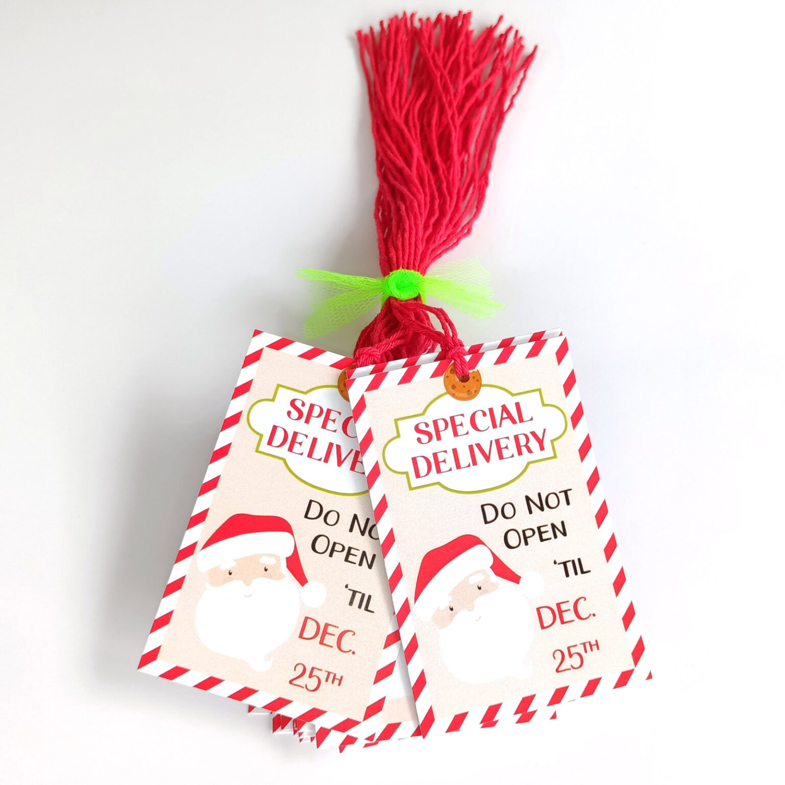 Santa Special Delivery Christmas Gift Tags – Set of 24 - Adore By Nat